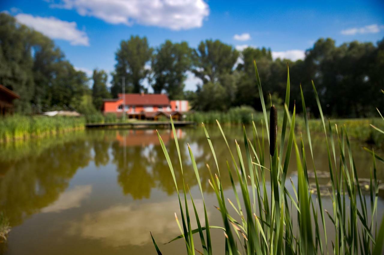 Penzion Amfik Bukovina Popovice  Exteriör bild
