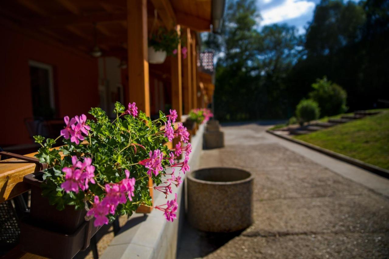 Penzion Amfik Bukovina Popovice  Exteriör bild